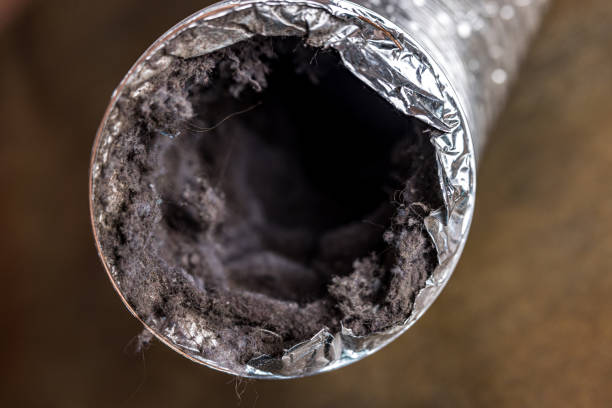 Best Air Duct Sanitizing Services  in Pleasant Hill, CA